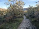 Une descente de Plomb...ières